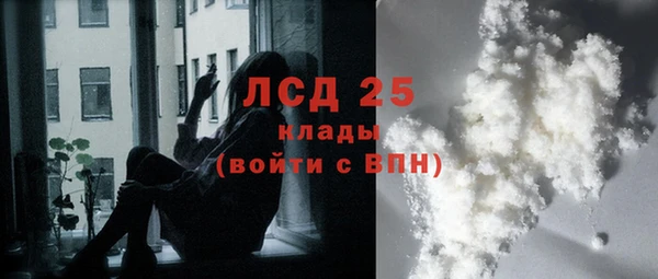 сатива Краснослободск