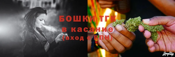 сатива Краснослободск