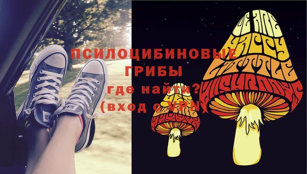 сатива Краснослободск