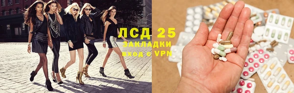 сатива Краснослободск