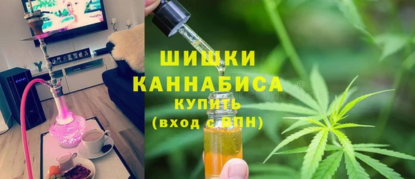 сатива Краснослободск