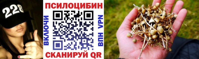 Купить закладки  Вельск  Псилоцибиновые грибы мухоморы 